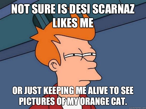 Not sure is Desi Scarnaz likes me Or Just keeping me alive to see pictures of my orange cat.   Futurama Fry