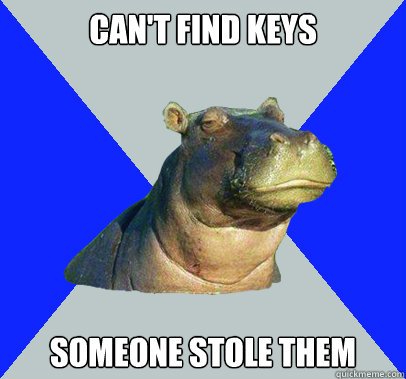 Can't find keys Someone stole them  Skeptical Hippo