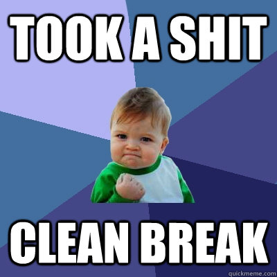 Took a shit clean break  Success Kid