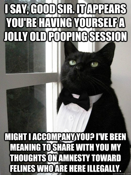 I SAY, GOOD SIR. IT APPEARS YOU'RE HAVING YOURSELF A JOLLY OLD pooping session might i accompany you? i've been meaning to share with you my thoughts on amnesty toward felines who are here illegally.  One Percent Cat