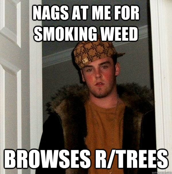 nags at me for smoking weed browses r/trees  Scumbag Steve