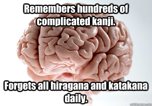 Remembers hundreds of complicated kanji. Forgets all hiragana and katakana daily.  Scumbag Brain