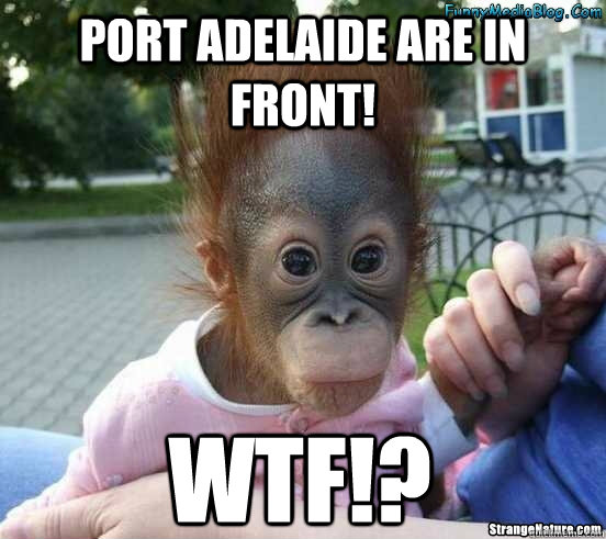 port adelaide are in front!  WTF!? - port adelaide are in front!  WTF!?  Unbelievable even in the animal kingdom