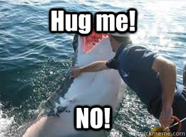 Hug me! NO!  