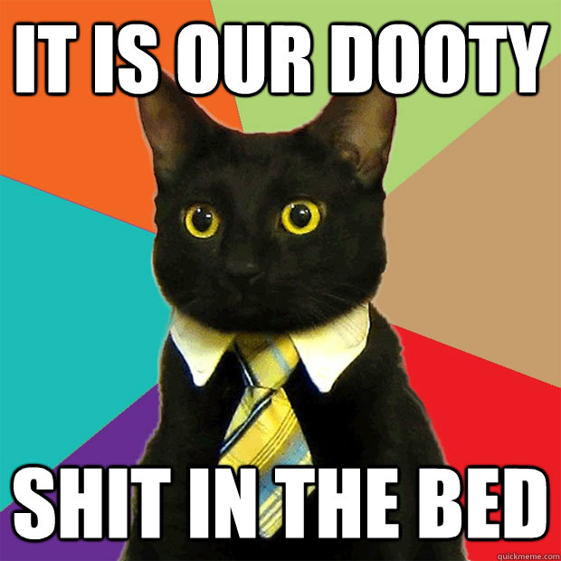 It is our dooty Shit in the bed  Business Cat