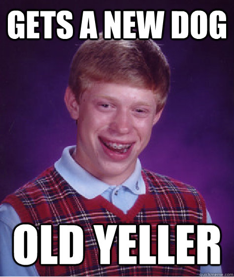 Gets A New Dog Old Yeller   Bad Luck Brian