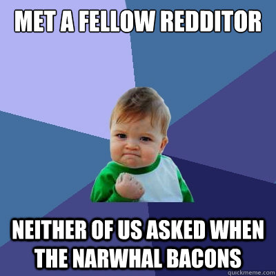 Met a fellow redditor Neither of us asked when the narwhal bacons  Success Kid