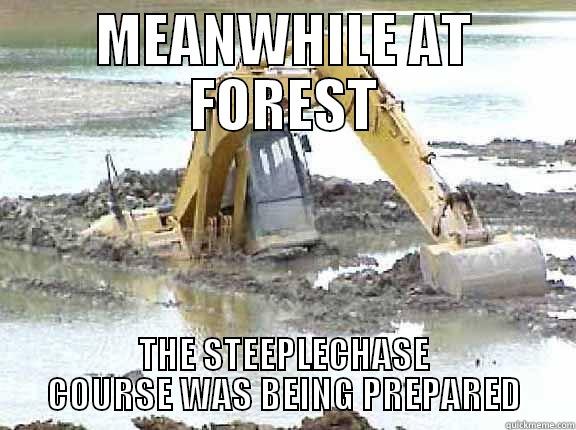 THE STEEPLECHASE - MEANWHILE AT FOREST THE STEEPLECHASE COURSE WAS BEING PREPARED Misc