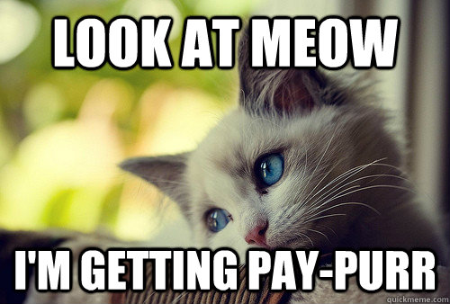 look at meow i'm getting pay-purr  First World Problems Cat