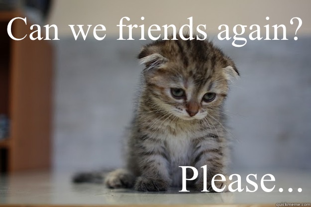 Can we friends again? Please... - Sad Kitten - quickmeme