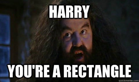 Harry You're a rectangle  Hagrid