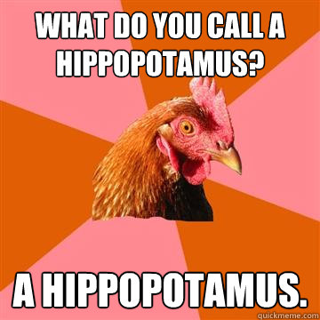 What do you call a hippopotamus? A hippopotamus.  Anti-Joke Chicken