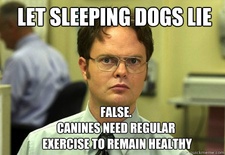 Let sleeping dogs lie FALSE.  
canines need regular
 exercise to remain healthy  Schrute