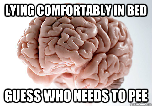 lying comfortably in bed guess who needs to pee  Scumbag Brain