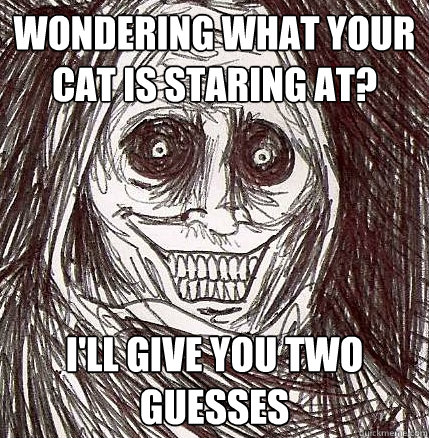 Wondering what your cat is staring at? I'll give you two guesses  Horrifying Houseguest