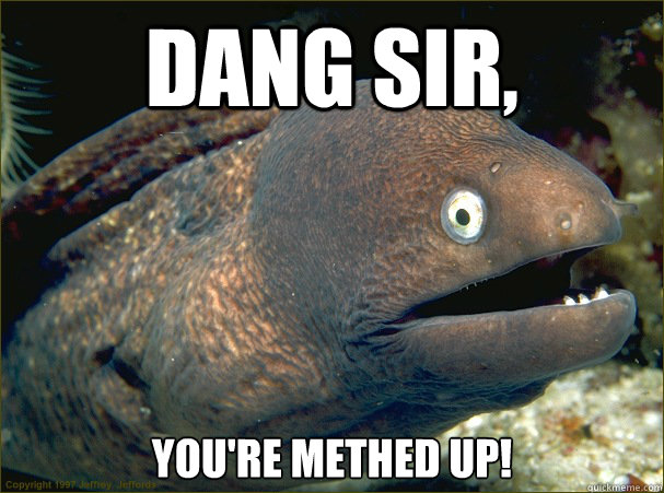 Dang sir,  You're methed up!  Bad Joke Eel