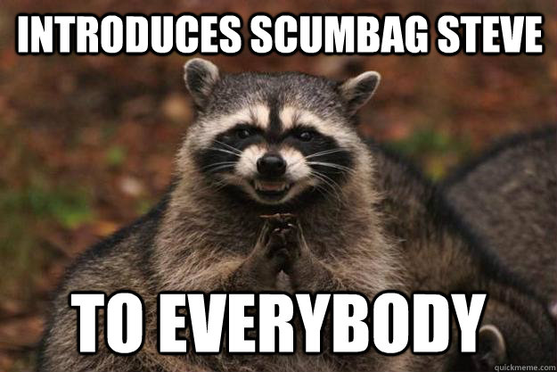 Introduces Scumbag Steve To Everybody  Evil Plotting Raccoon