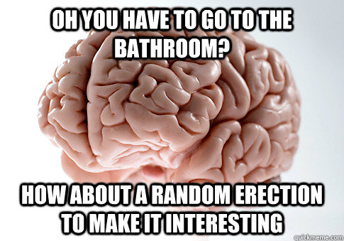 oh you have to go to the bathroom? how about a random erection to make it interesting  Scumbag Brain