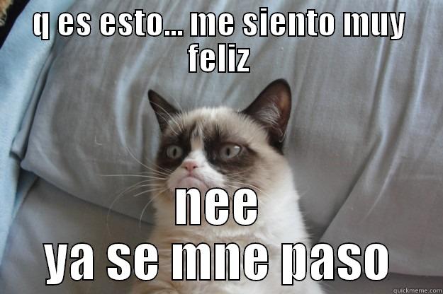 Q ES ESTO... ME SIENTO MUY FELIZ NEE YA SE MNE PASO Grumpy Cat