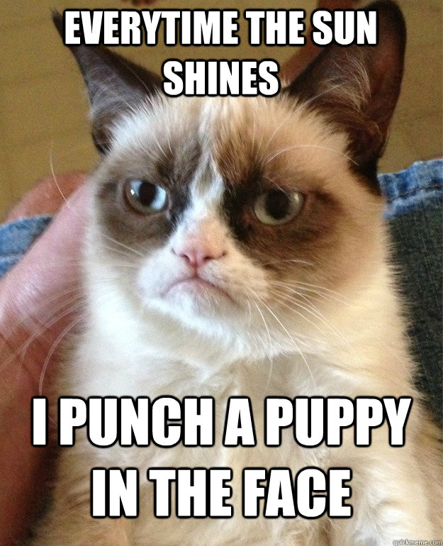 Everytime the sun shines I punch a puppy in the face  Grumpy Cat