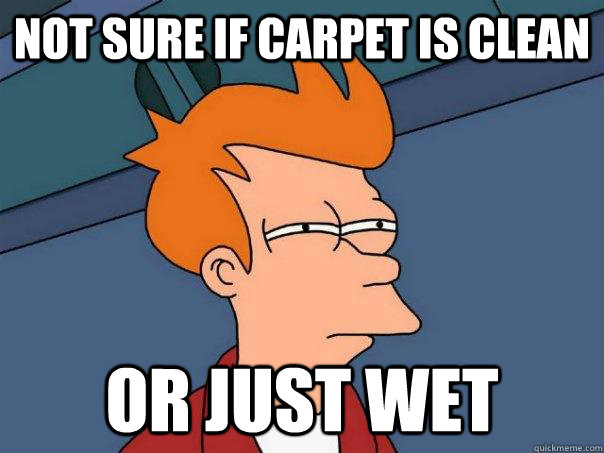 Not sure if carpet is clean or just wet  Futurama Fry