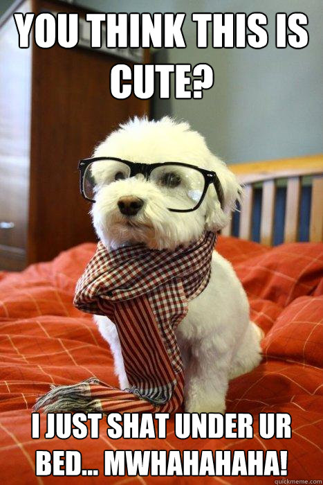 YOU THINK THIS IS CUTE? I JUST SHAT UNDER UR BED... MWHAHAHAHA!  Hipster Dog