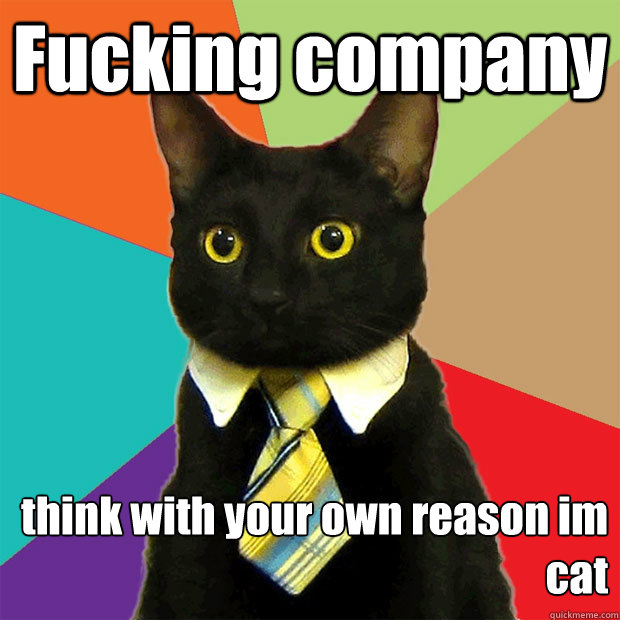 Fucking company think with your own reason im cat  Business Cat