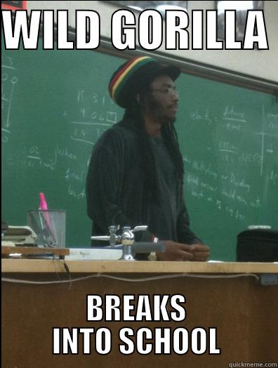 WILD GORILLA  BREAKS INTO SCHOOL Rasta Science Teacher