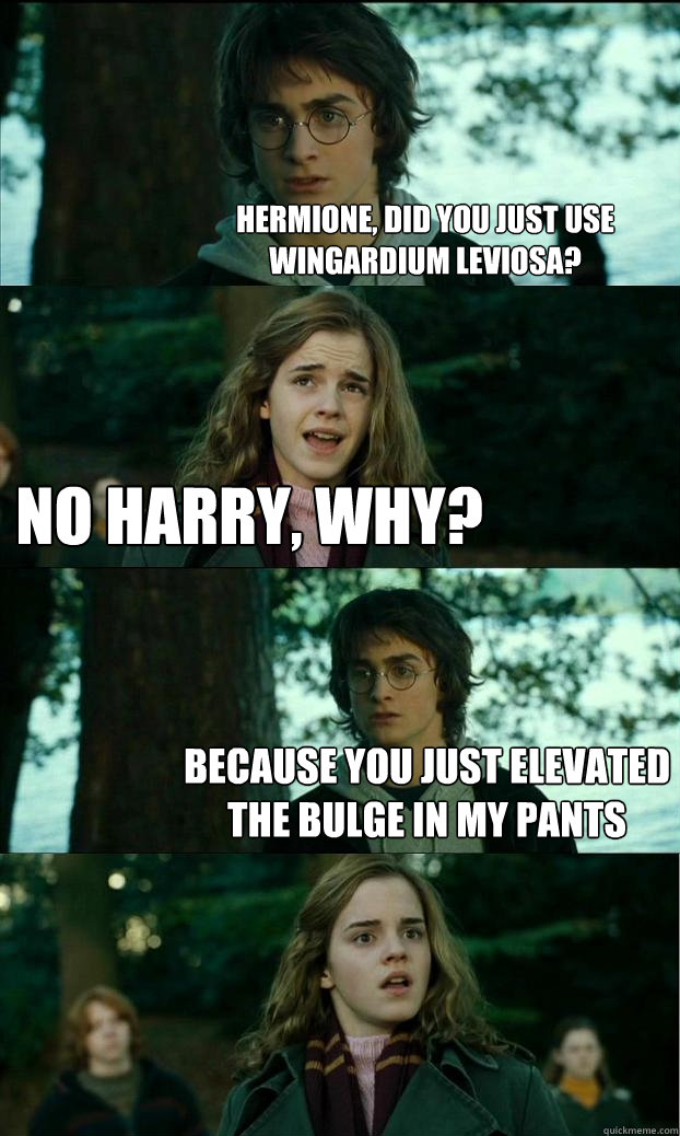 hermione, did you just use wingardium leviosa? no harry, why? because you just elevated the bulge in my pants  Horny Harry