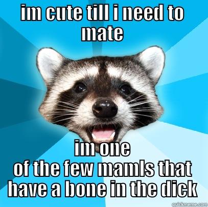 IM CUTE TILL I NEED TO MATE IM ONE OF THE FEW MAMLS THAT HAVE A BONE IN THE DICK Lame Pun Coon