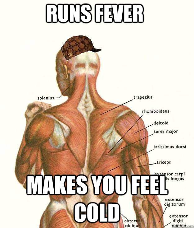 Runs fever makes you feel cold  Scumbag body