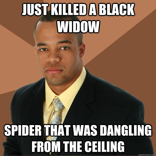 just killed a black widow spider that was dangling from the ceiling  Successful Black Man