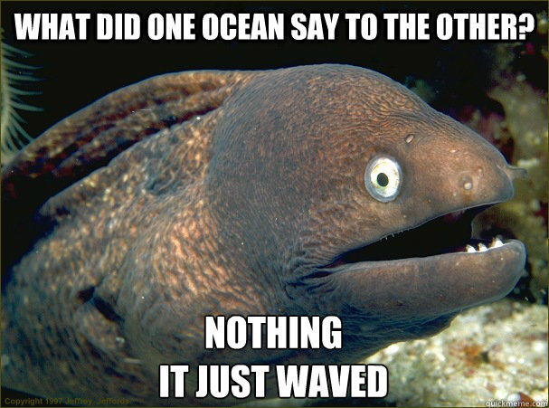 What did one ocean say to the other? Nothing
it just waved  Bad Joke Eel