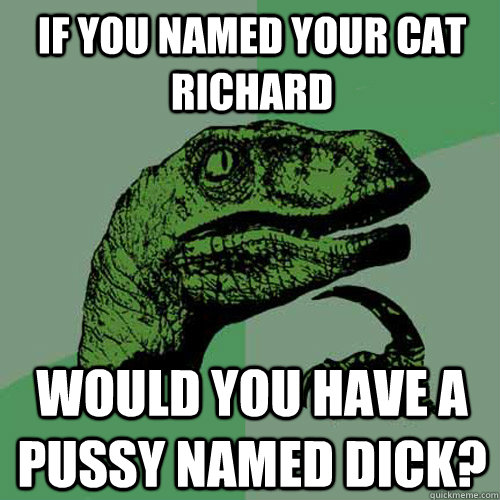 If you named your cat Richard would you have a pussy named dick?  Philosoraptor