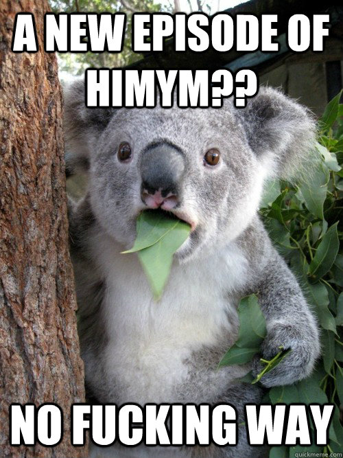 A new episode of HIMYM?? no fucking way - A new episode of HIMYM?? no fucking way  koala bear