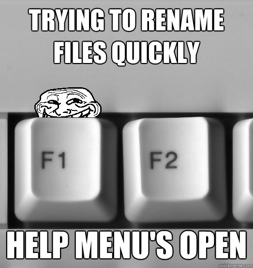 TRYING TO RENAME FILES QUICKLY HELP MENU'S OPEN - TRYING TO RENAME FILES QUICKLY HELP MENU'S OPEN  Troll F1