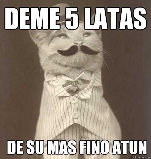 deme 5 latas  de su mas fino atun  Original Business Cat