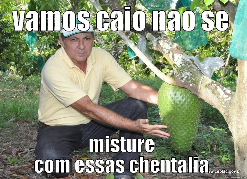 VAMOS CAIO NAO SE MISTURE COM ESSAS CHENTALIA Misc