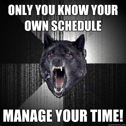 ONLY YOU KNOW YOUR OWN SCHEDULE MANAGE YOUR TIME!  Insanity Wolf