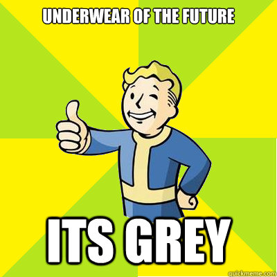 Underwear of the future  Its grey  Fallout new vegas