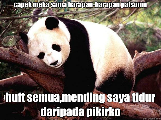 capek meka sama harapan-harapan palsumu huft semua,mending saya tidur daripada pikirko  Procrastination Panda