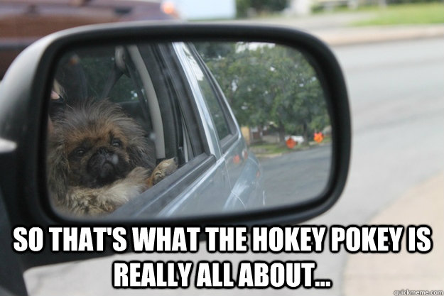  so that's what the hokey pokey is really all about...   