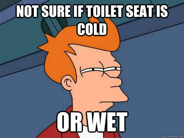 Not sure if toilet seat is cold Or wet - Not sure if toilet seat is cold Or wet  Futurama Fry