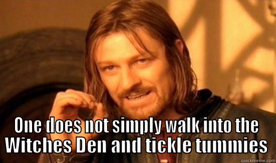  ONE DOES NOT SIMPLY WALK INTO THE WITCHES DEN AND TICKLE TUMMIES Boromir