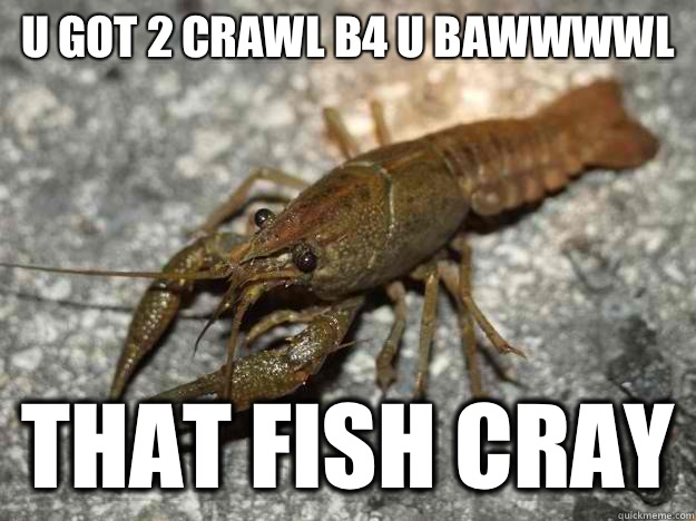 U got 2 crawl b4 u bawwwwl  that fish cray  that fish cray