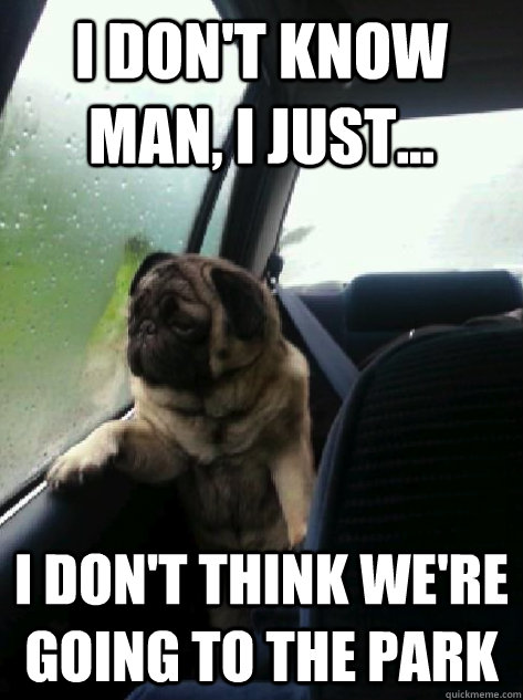 I don't know man, I just... I don't think we're going to the park  Introspective Pug