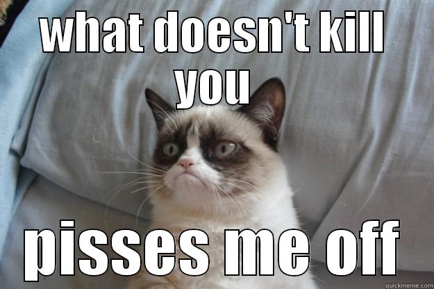 What doesn't kill you... - WHAT DOESN'T KILL YOU PISSES ME OFF Grumpy Cat