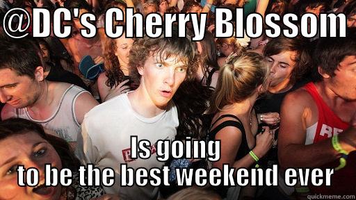 AIESEC Cherry Blossom - @DC'S CHERRY BLOSSOM  IS GOING TO BE THE BEST WEEKEND EVER Sudden Clarity Clarence