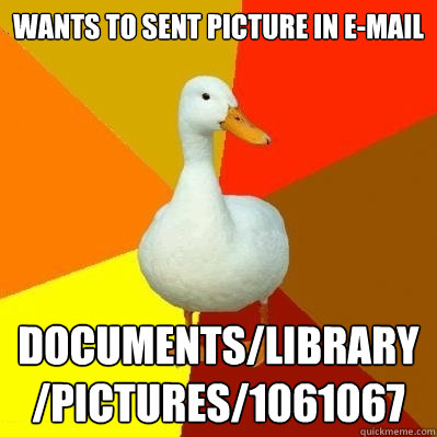 wants to sent picture in e-mail documents/library/pictures/1061067   Tech Impaired Duck