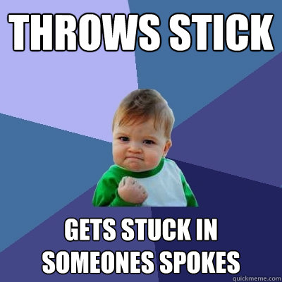 throws stick gets stuck in someones spokes  Success Kid